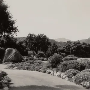 Meadow, SBBG