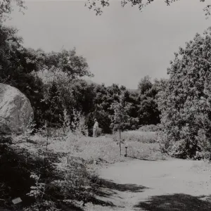 Meadow, SBBG