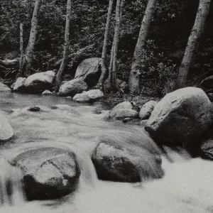 Mission Creek 1983