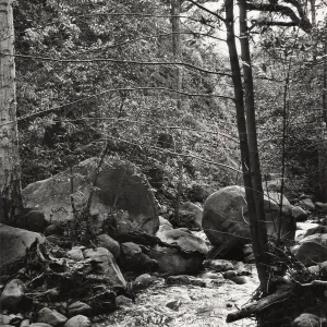 Mission Creek, SBBG