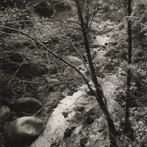 Mission Creek, SBBG