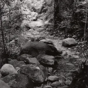 Mission Creek, SBBG