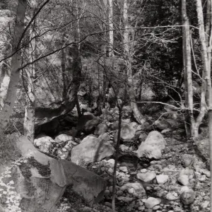 Mission Creek, SBBG