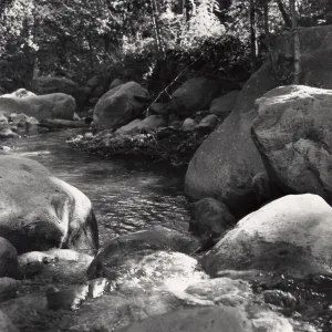 Mission Creek, SBBG