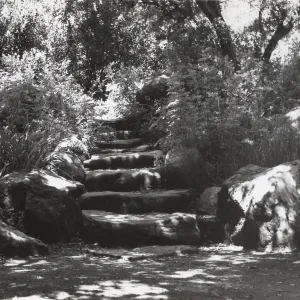 The Mound, under the Meadow Oaks, SBBG