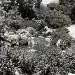 Garden pond near the Meadow, this pond was built in 1930 to commemorate Mrs. Bissel's birthday'