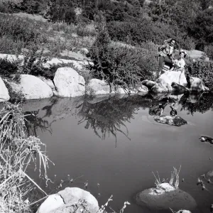 Old Fiesta days photo shoot, Botanic Garden Pond