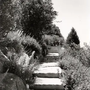steps to Porter Trail from Mission Canyon Road