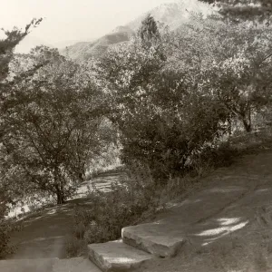 Porter Trail switchback, stone steps