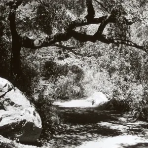 Pritchett Trail