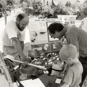 Family Festival, SBBG. Educational display 'Seeds and their uses' Young boy looking through a microscope.