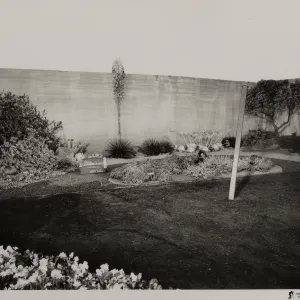 Exhibit: Native California plants for the drought-resistant garden, Earl Warren Show Grounds Flower Show