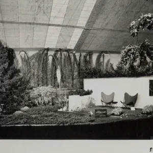 Exhibit: Native California plants in a home garden, Flower Show at Earl Warren Show Grounds