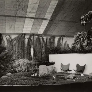 Exhibit 'Native California plants in a home garden.' Santa Barbara Flower Show 1954