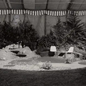 Exhibit 'A seaside garden of native California plants'. Flower Shows at Earl Warren Show Grounds
