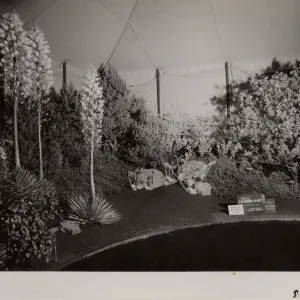 Exhibit 'Native California plants for the drought-resistant garden', designed by Ralph D. Cornell, Landscape Architect