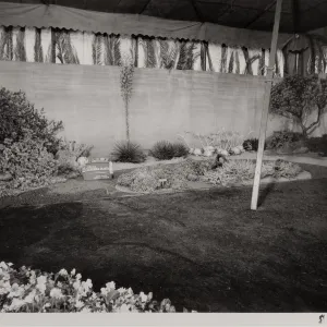 Exhibit ' Native California plants for the drought-resistant garden'. Flower Shows at Earl Warren Show Grounds