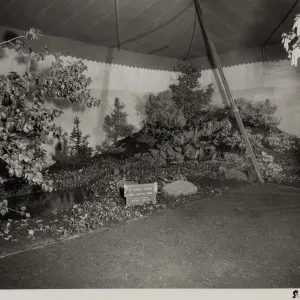 Flower Shows at Earl Warren Show Grounds