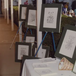 Botanical Illustration display, Blaksley Library's 50th Anniversary Celebration