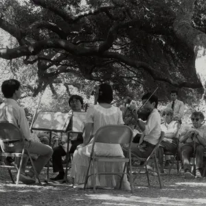 Music Academy of the West, Concert Under the Oaks