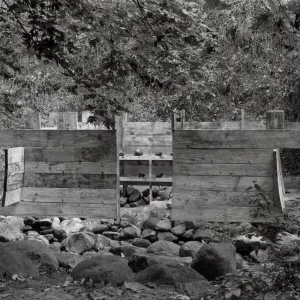 Michael Singer Exhibit, 1988