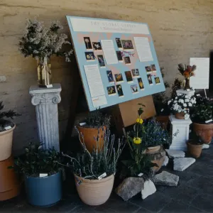 Garden Club Show Exhibit :The Global Garden: a Mediterranean Perspective