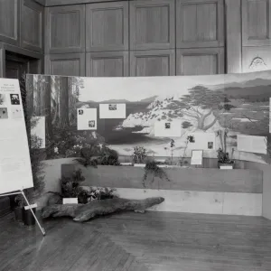 Exhibit: Treasures of the Flora