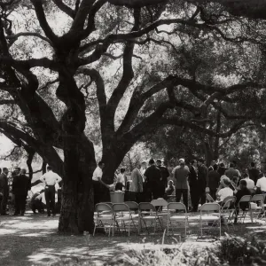 SBBG Symposium on the Biology of the Channel Islands, October 1965