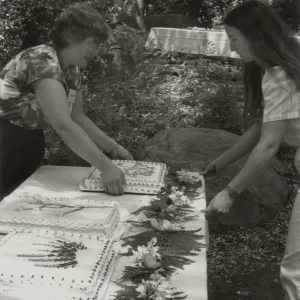 Members Day post-1970, cake table