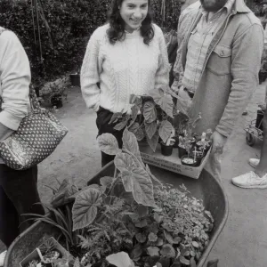 Fall Plant Sale
