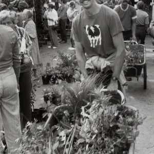 Fall Plant Sale
