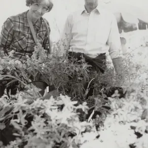 Fall Plant Sale 1990