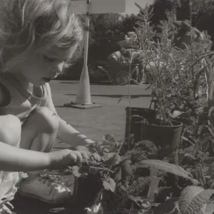 Plant Sale