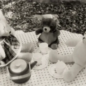 Teddy Bears' Tea-Time Picnic