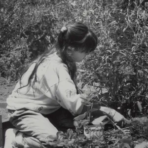 Children's Garden, Children Gardening
