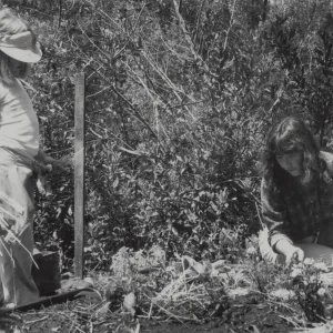 Children in the Garden, Children's Garden