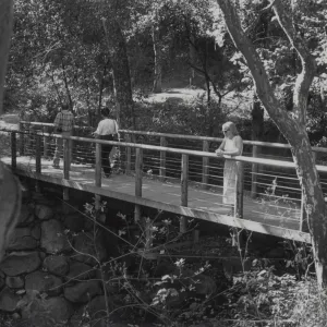 Tracy Owens Allen on Campbell Bridge