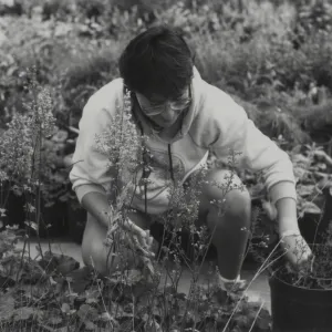 Carol Bornstein, 1985