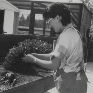 Horticulturalist Carol Bornstein