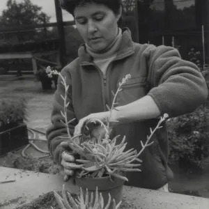 Plant Propagator Caroline Cooper