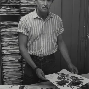 Steve Junak with Herbarium specimens
