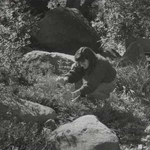 Carol Bornstein, Plant Propagator
