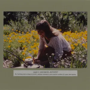 Mary Hochberg, Botanist