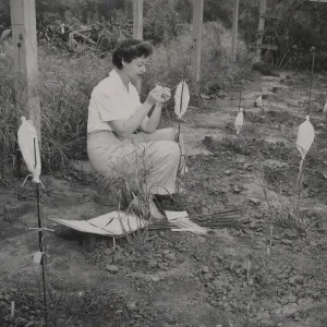 Dr. Marta Walters, 1952