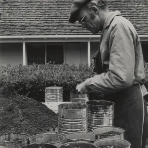 Dara Emery propagating plants