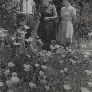 Ralph Cornell, Nan Burrows, Lila Sexton in Meadow