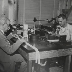 Harold Gladwin and Dennis Breedlove in Tree Ring Laboratory, 1961