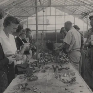 Plant Propagation Class taught by Dara Emery, 1961
