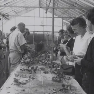 Horticulture Class taught by Dara Emery, 1961