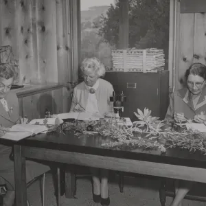 Plant taxonomy class, 1956